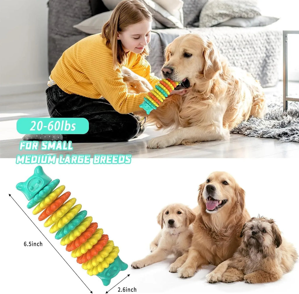 Blue green and pink caterpillar-shaped durable rubber dog chew toy for aggressive chewers.