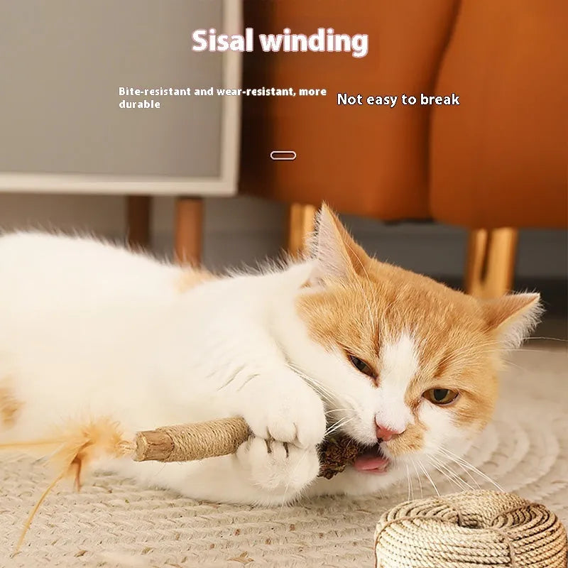Large polygonum mu wood cat chew toy with catnip stem, measuring 2.2 cm in diameter.