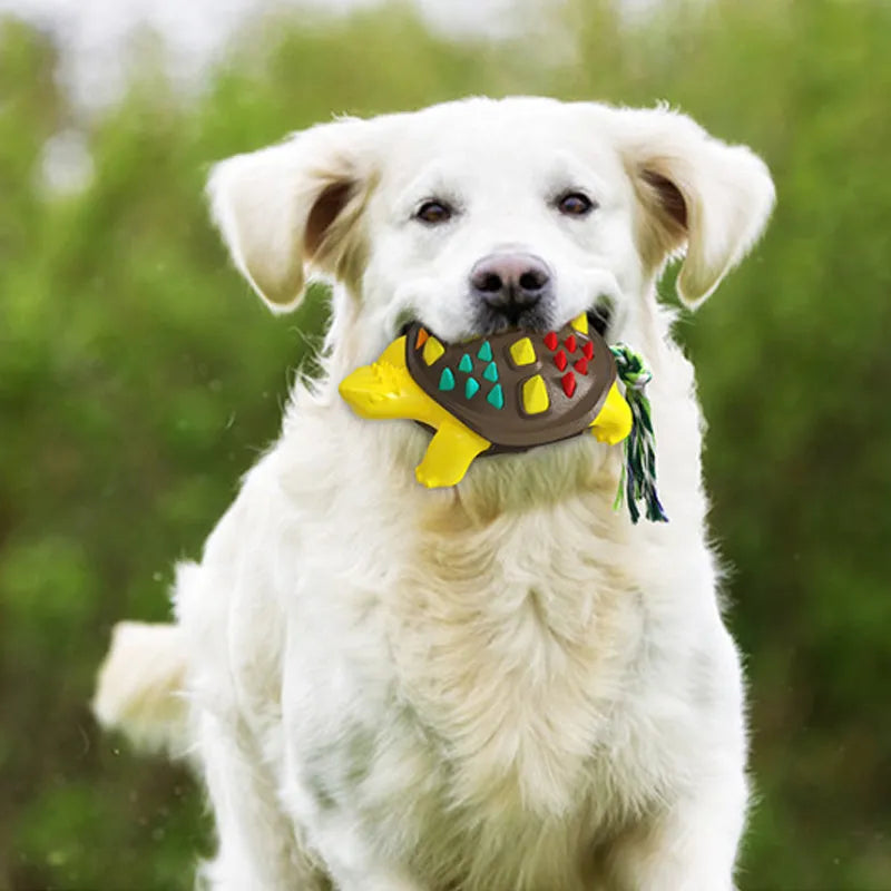 Natural rubber dog toothbrush chew toy with mint flavour for dental care and interactive tug-of-war games