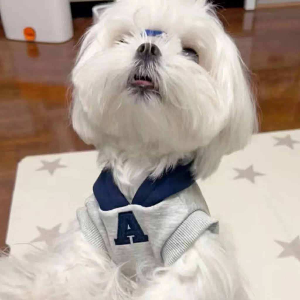 Blue and grey white pet hoodie sweater with reflective letters for cats and dogs