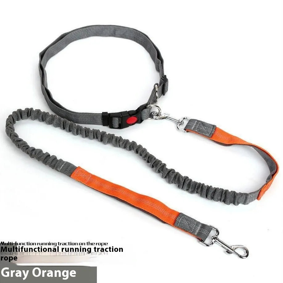 Outdoor dog leash with reflective elements in grey and blue colour combination