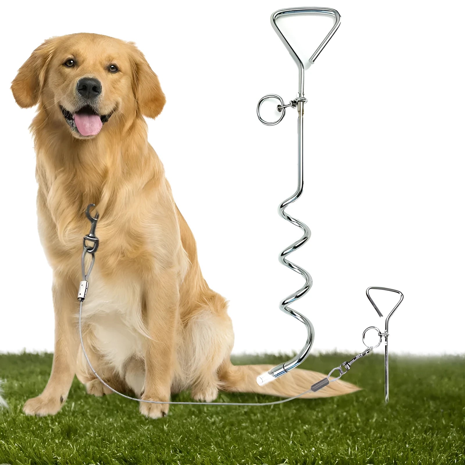 Solid steel spiral dog tie out stake for secure ground tethering outdoors.