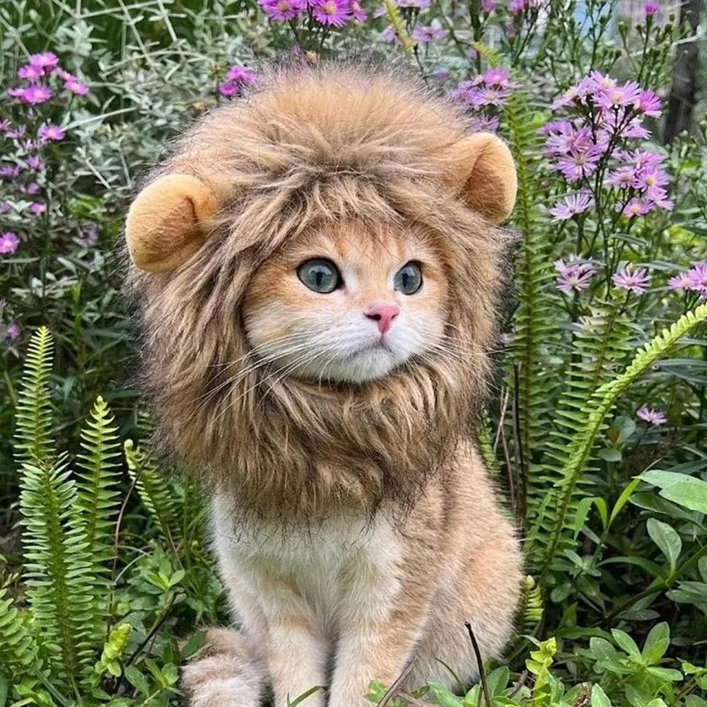 Grey lion mane wig with plush ears on a cat, showing adjustable elastic band.