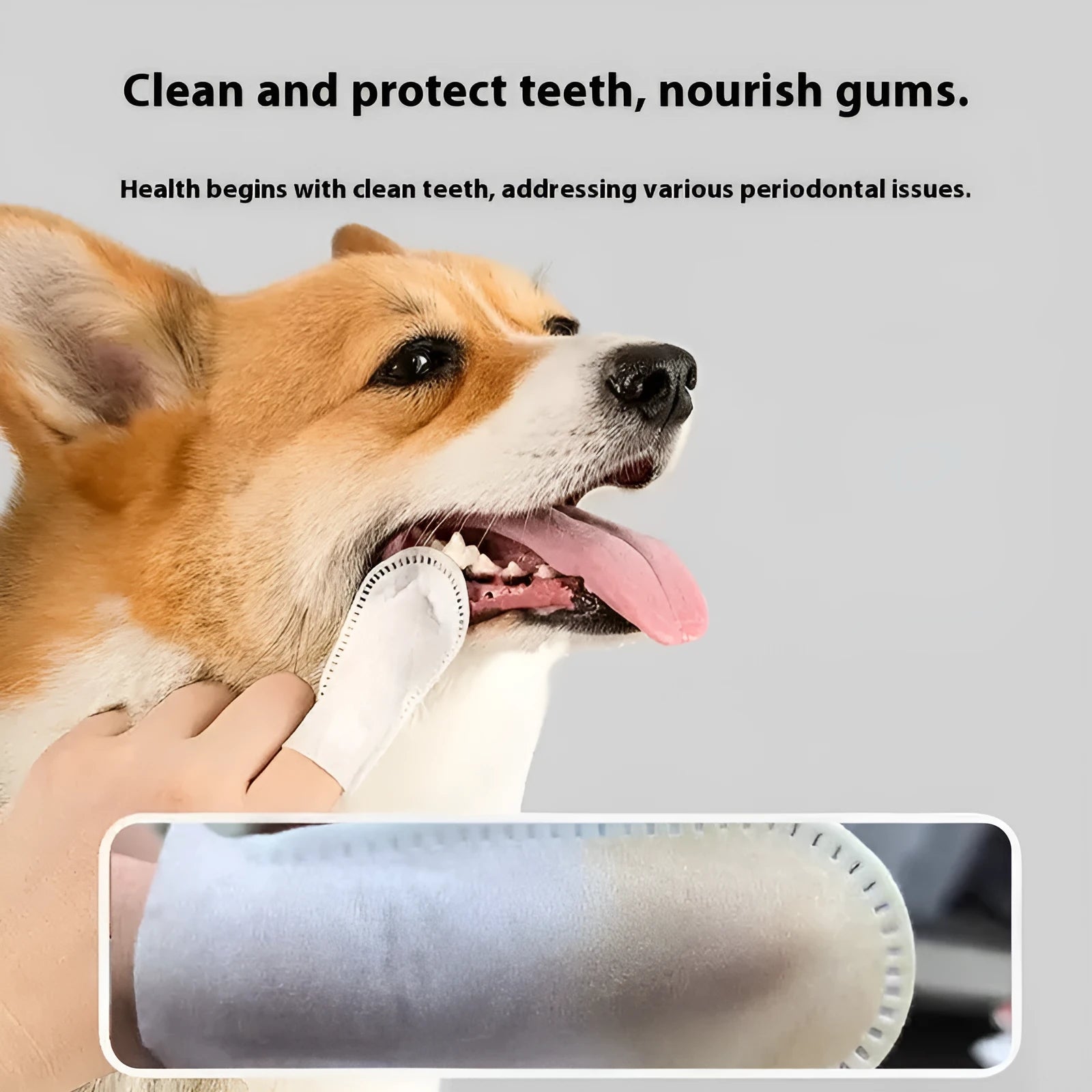 50-piece pack of non-woven pet dental cleaning finger stalls for cat and dog oral hygiene