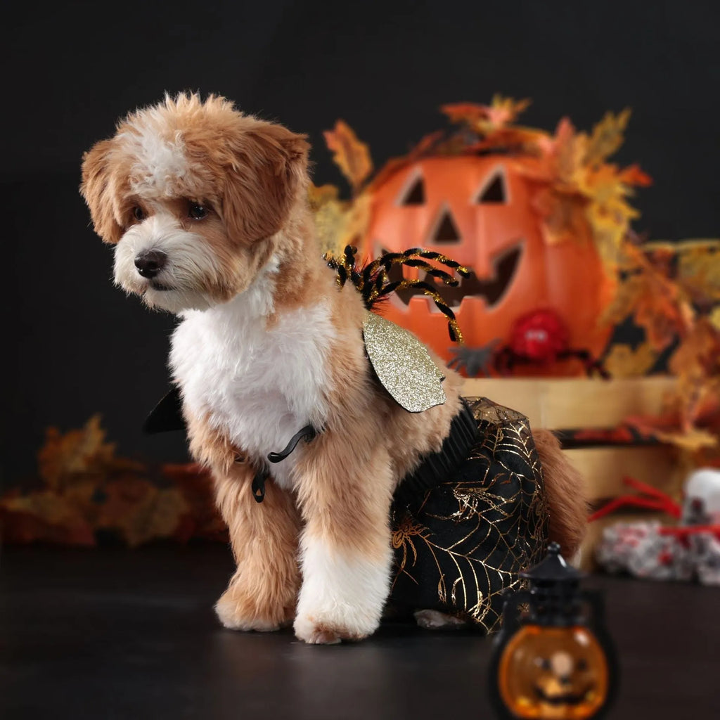 Black polyester dog Halloween suit costume available in sizes S M L XL for pet party wear