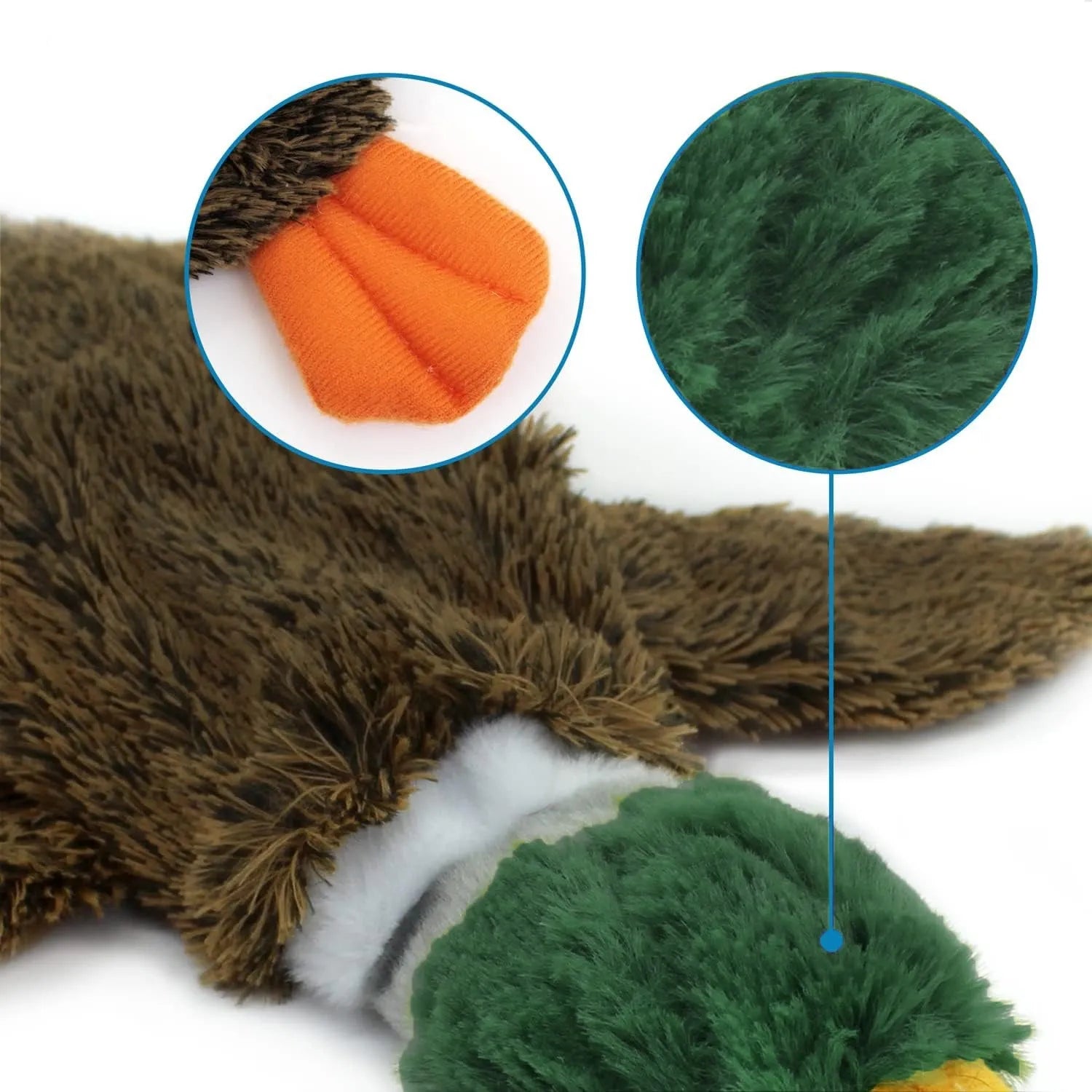Green wild duck shaped stuffless plush dog toy with squeakers, shown with a plastic bottle next to it.