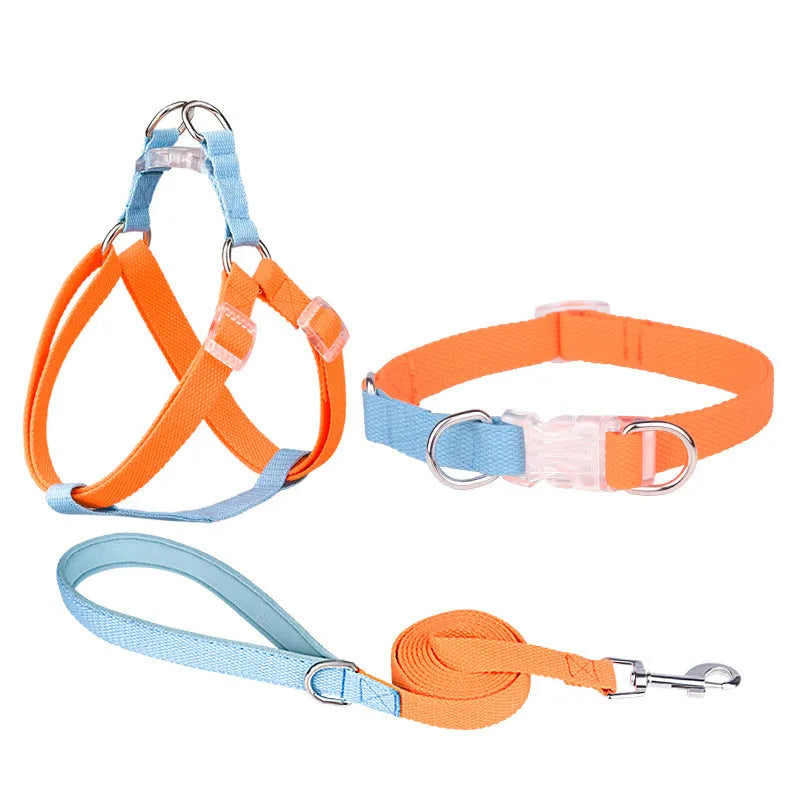 Polyester ribbon dog collar, lead, and chest strap set in a coordinating two-tone colour.