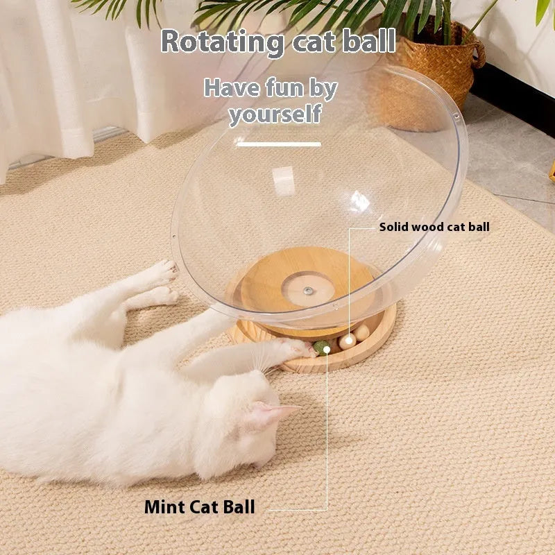 Transparent acrylic cat space capsule bathtub bed for feline sleeping