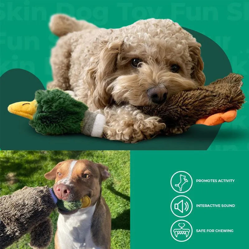 Green wild duck shaped stuffless plush dog toy with squeakers, shown with a plastic bottle next to it.