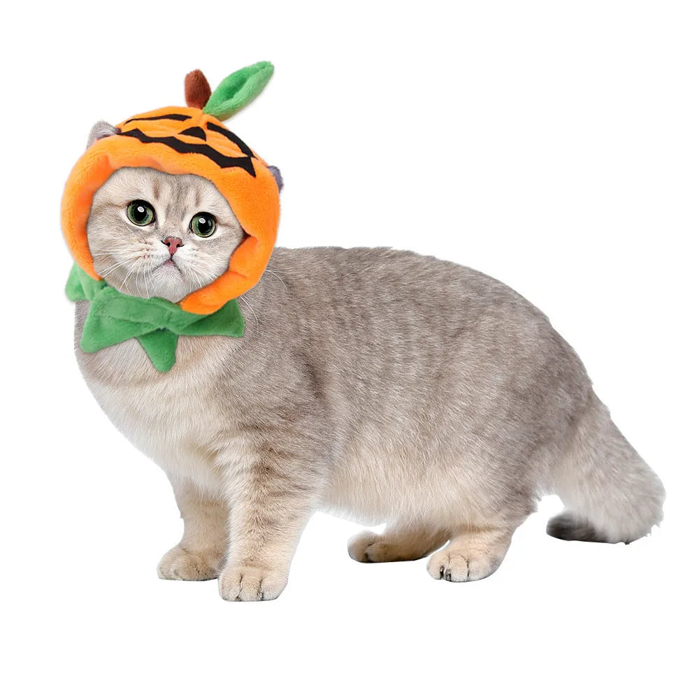 Reversible pumpkin design Halloween cloak for dogs and cats in plush material