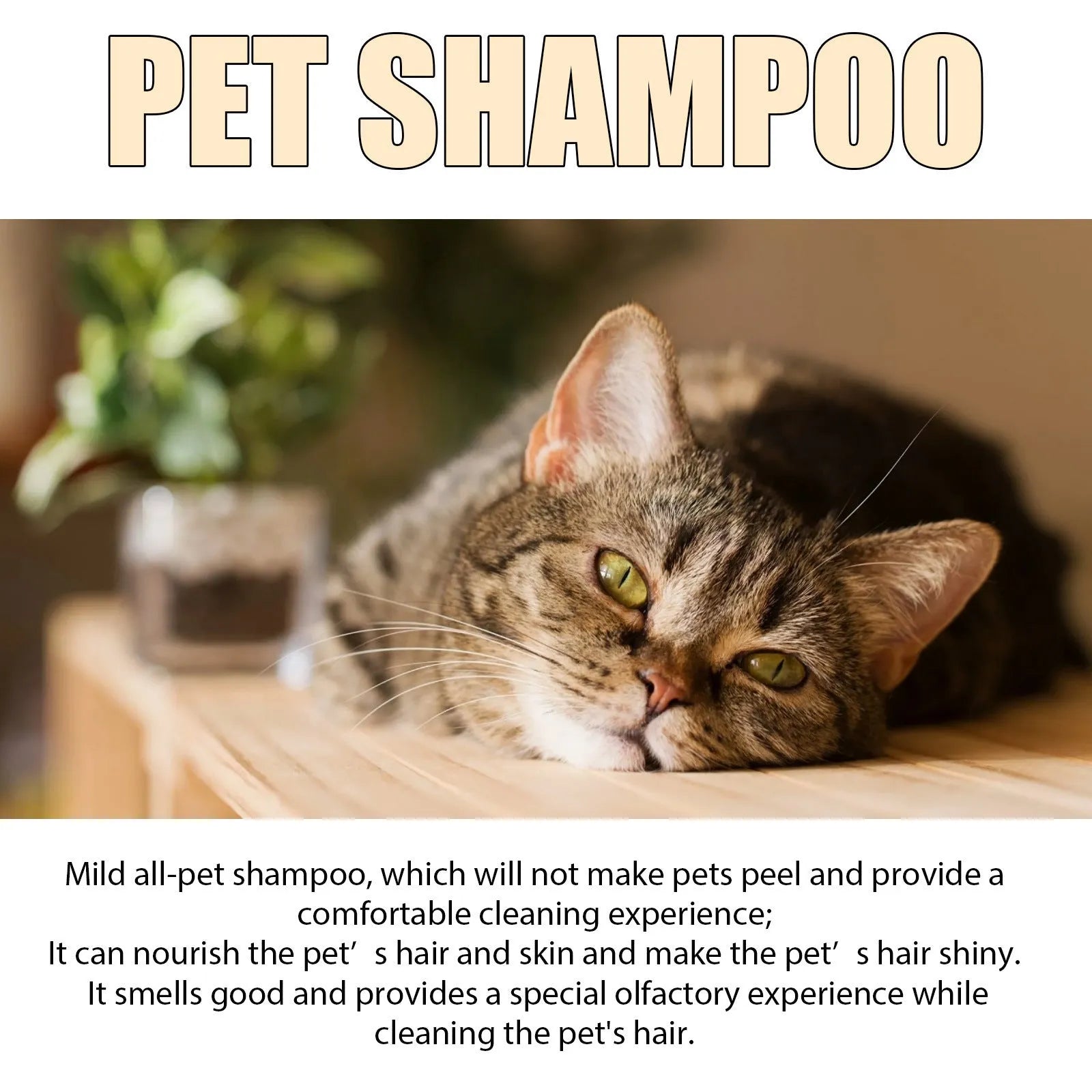 Pet shampoo bottle for cats and dogs in 100ml and 300ml sizes with mild cleaning formula