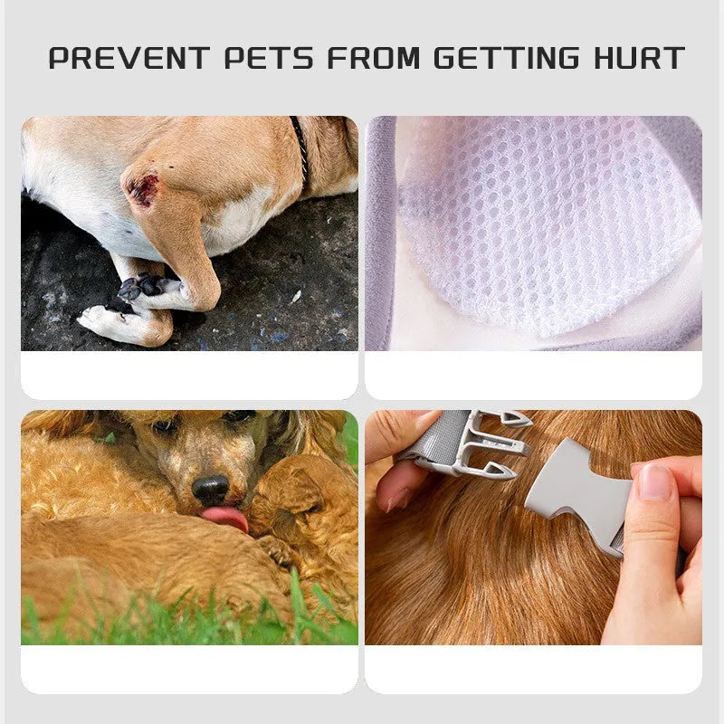 Blue adjustable dog elbow protector sleeve with padded patch and matching scarf on a large dog's front leg.
