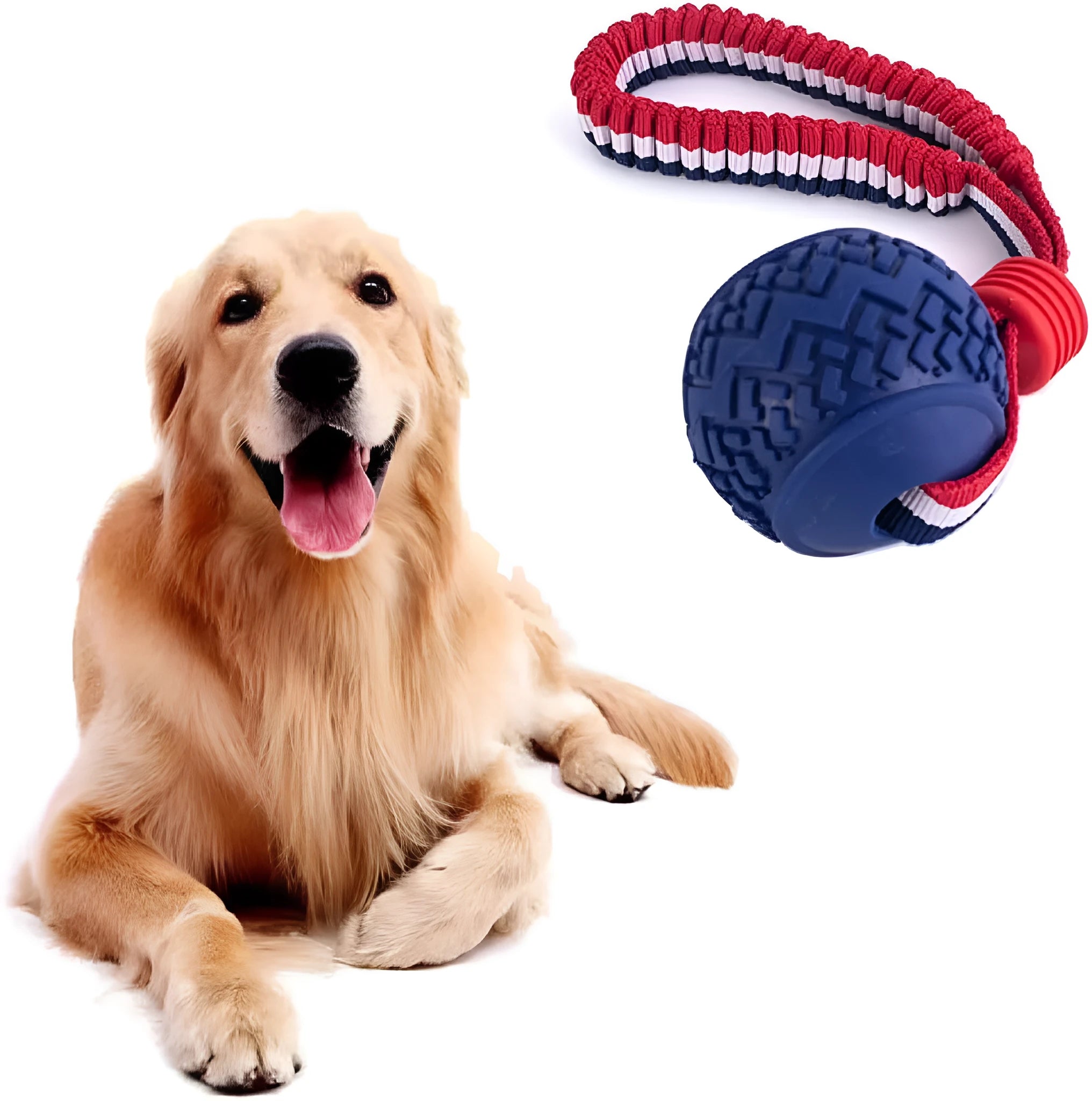 Blue and red natural rubber dog ball with rope toy for medium and small dogs