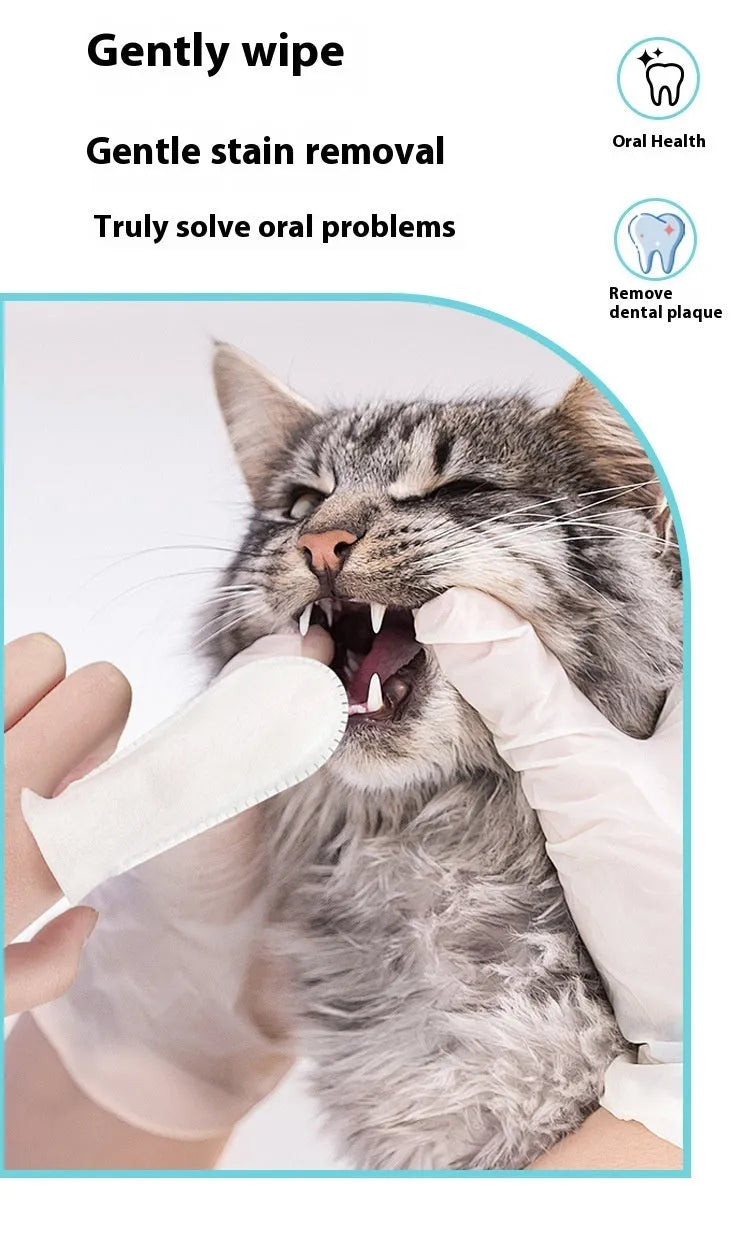 50-piece pack of non-woven pet dental cleaning finger stalls for cat and dog oral hygiene