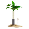 Wooden cat scratching post in canna colour with chamfered edges, standing vertically.