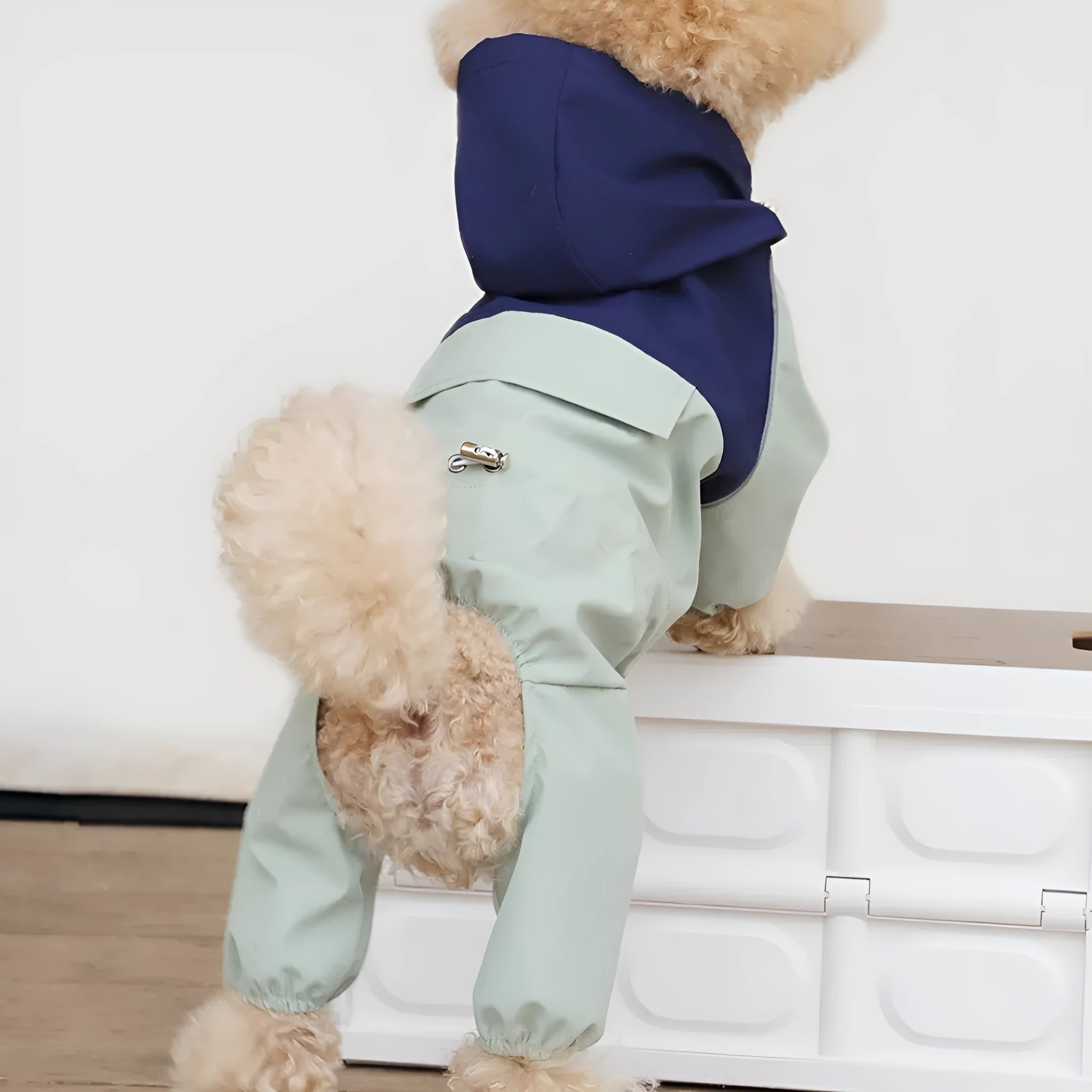 British style waterproof polyester jacket for small or medium dog on size chart with khaki, green, orange colours.
