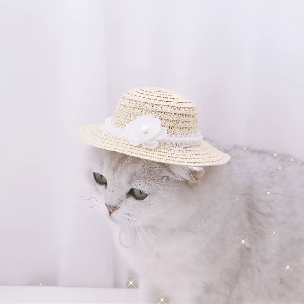 Handmade adjustable bowknot paper hat for a dog or cat in cartoon style.