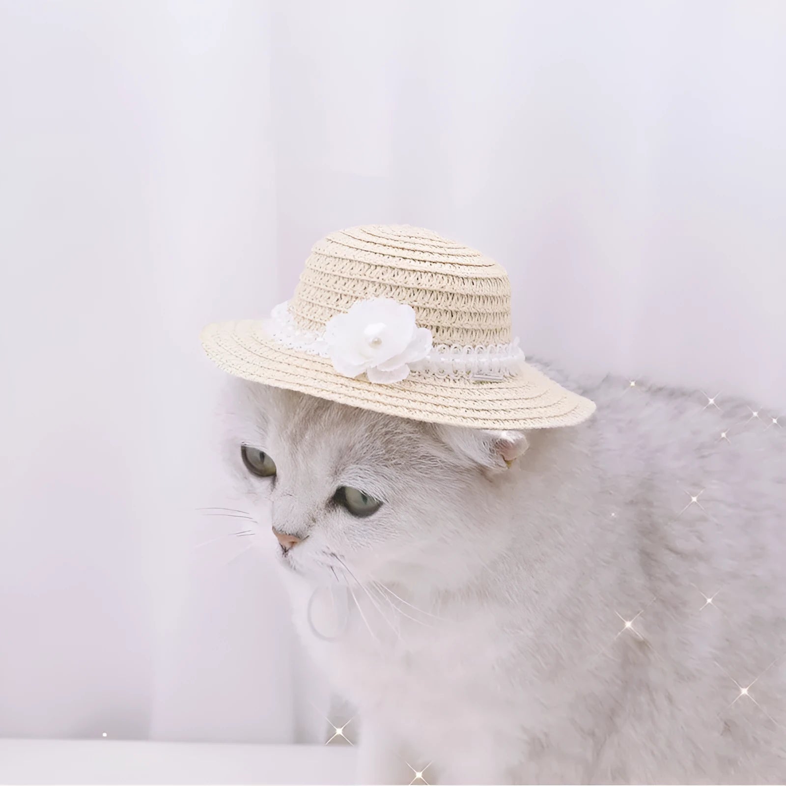 Handmade adjustable bowknot paper hat for a dog or cat in cartoon style.