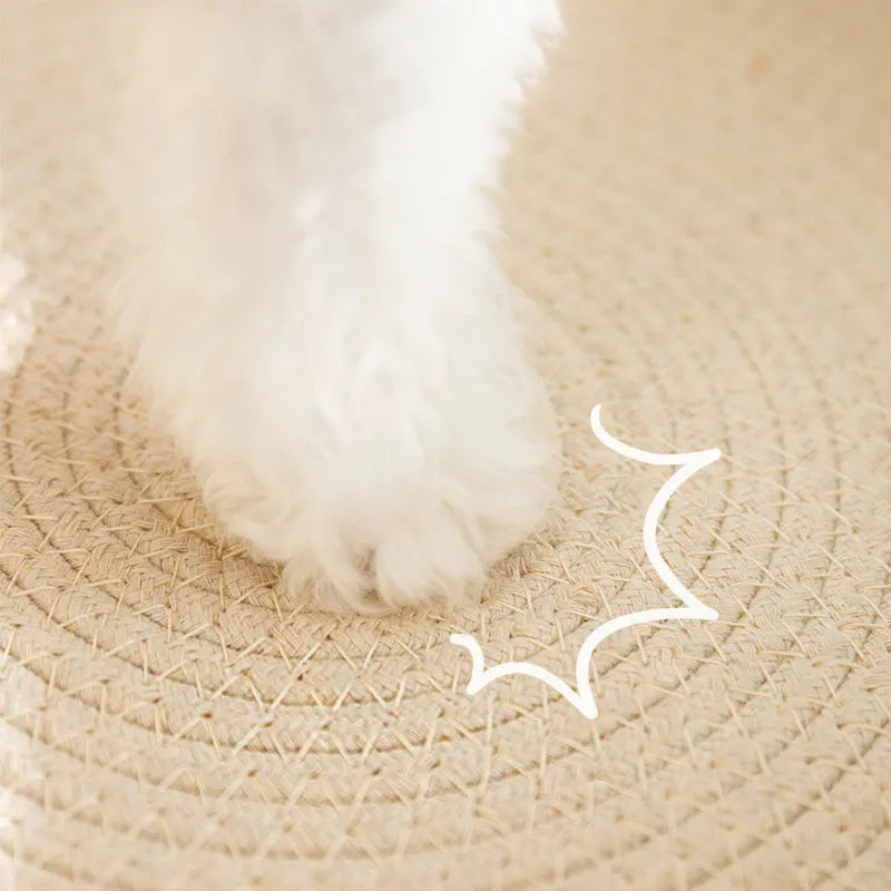 Green oval cat scratch pad bowl with sisal scratching surface serving as cat bed and furniture protector