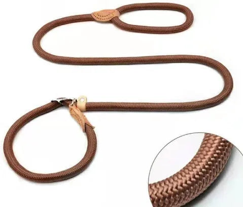 Brown nylon P-chain dog leash held in a hand, showing its full length and textured rope design.