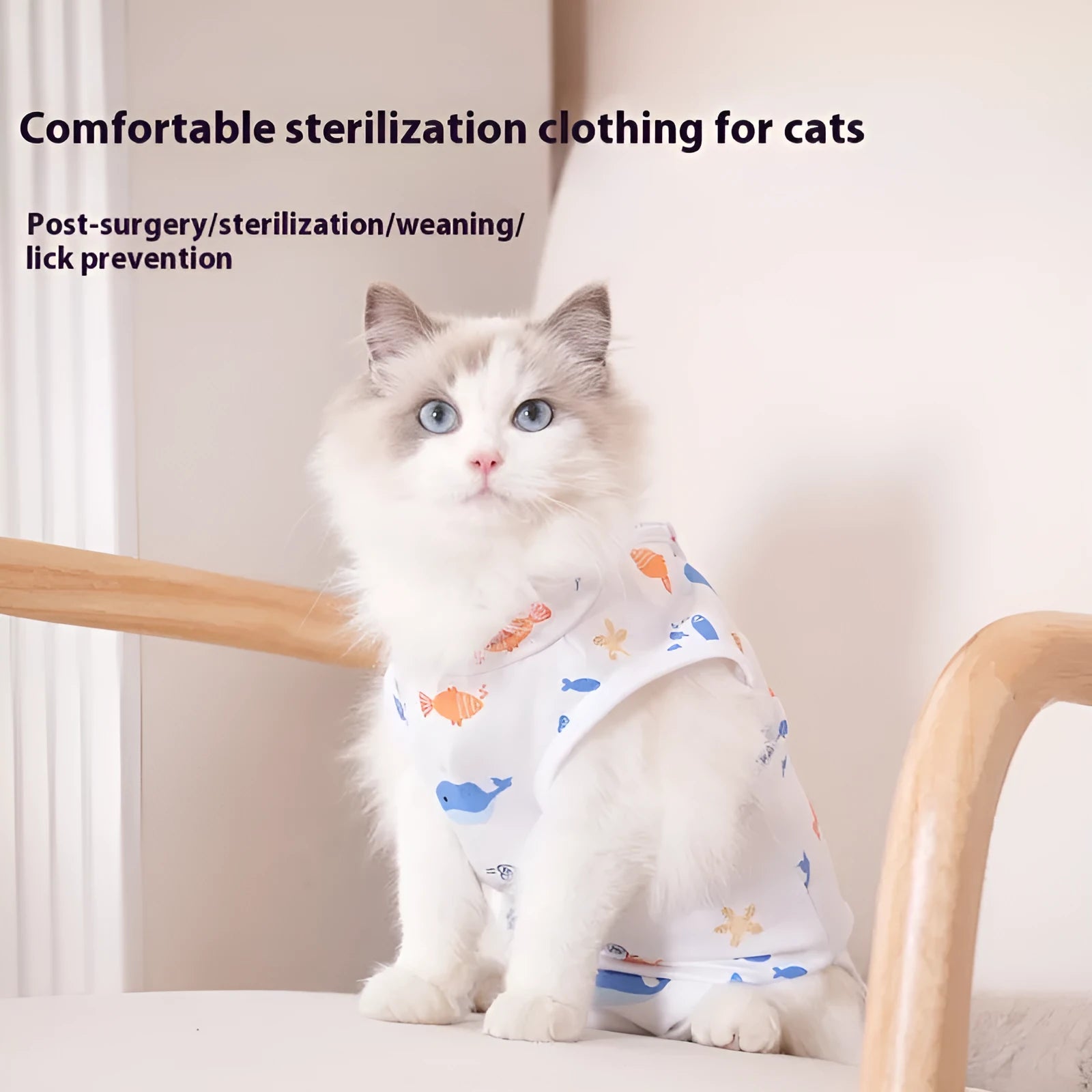 Cat wearing a printed post-operation recovery suit with velcro fastenings on its back.