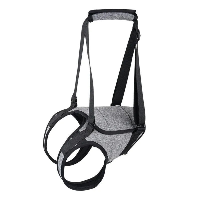 Grey neoprene dog rear leg recovery belt showing adjustable waist design