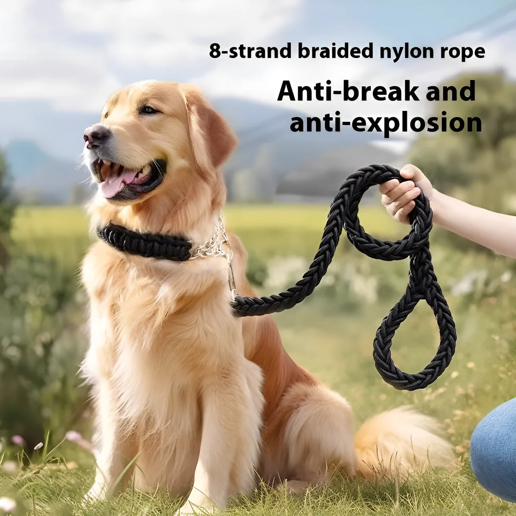 Nylon dog rope collar P chain set in black 1.2m length on surface with traction rope
