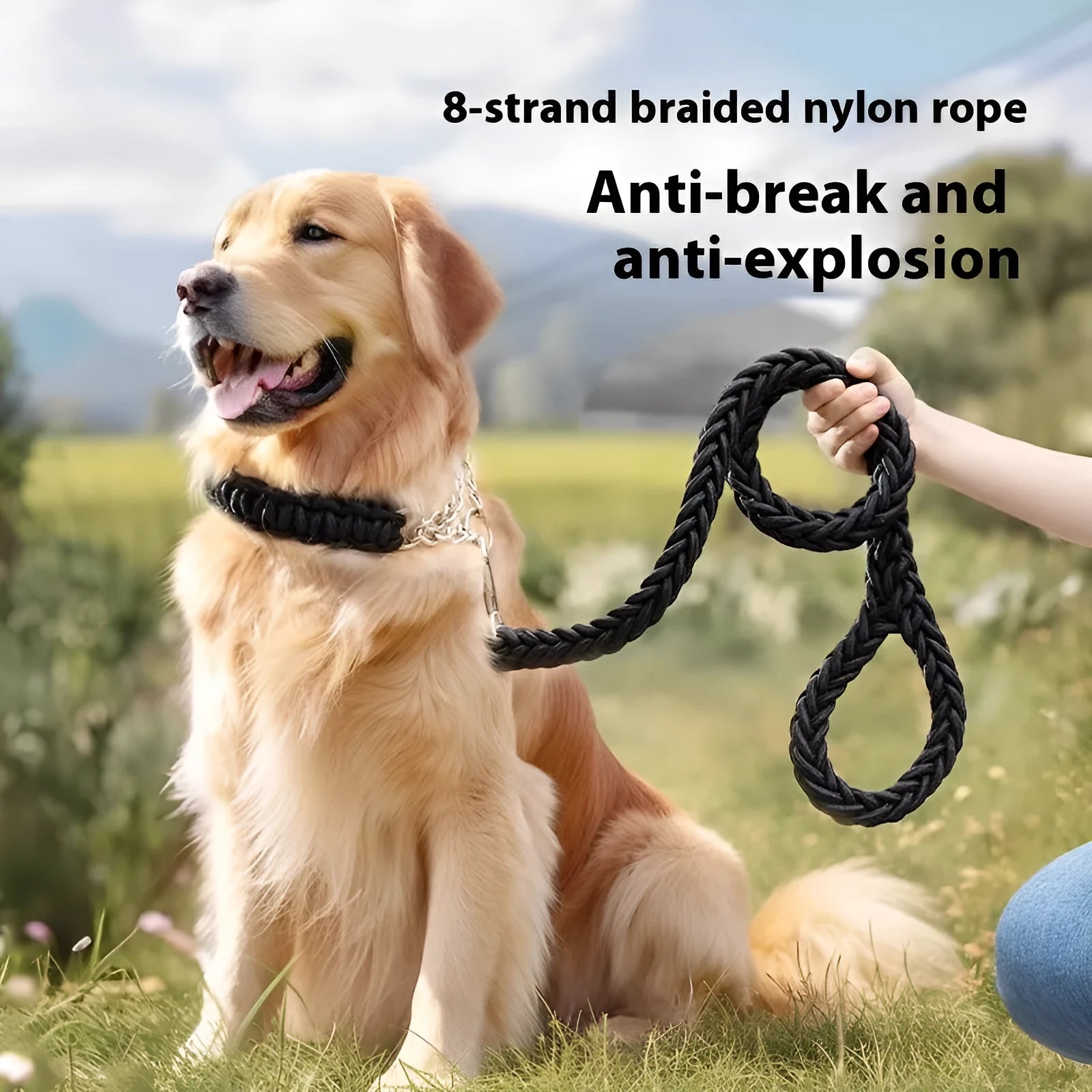 Nylon dog rope collar P chain set in black 1.2m length on surface with traction rope