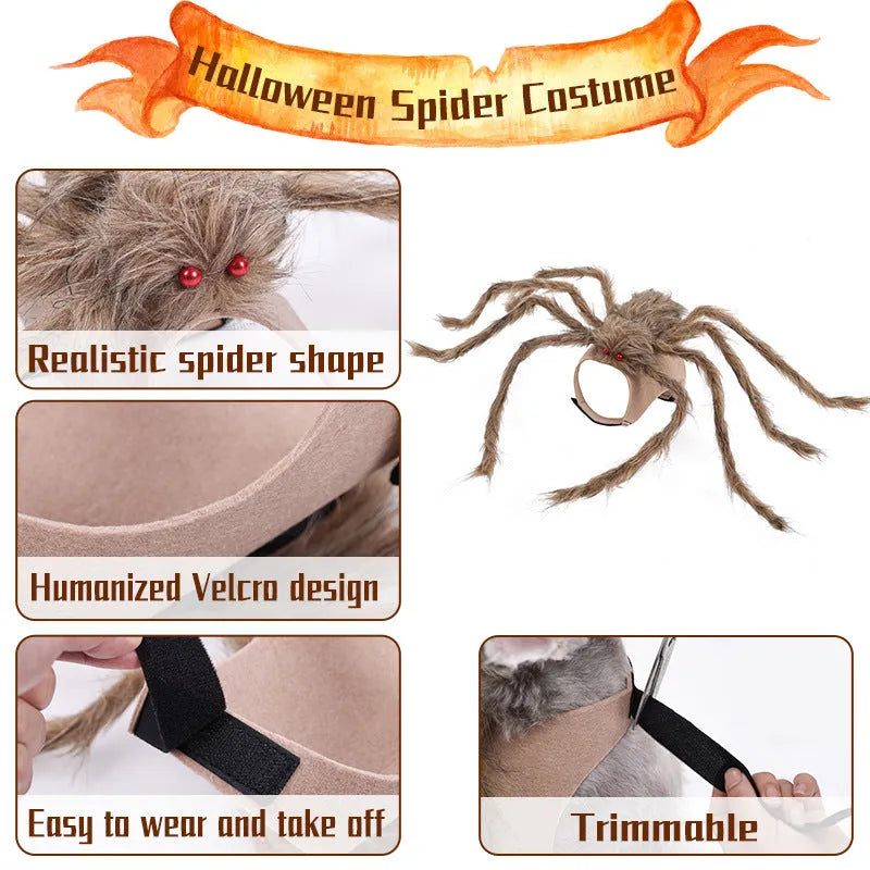 Grey big spider Halloween costume on a dog, showing back and leg coverings.