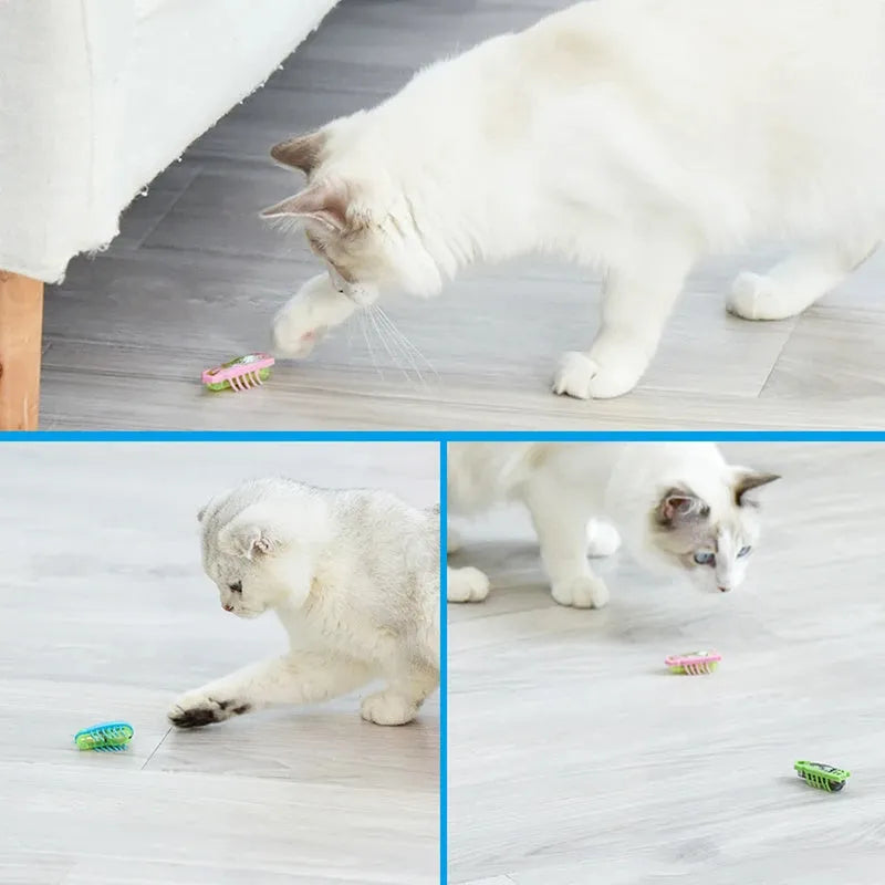 Mini electric bug pet toy showing ladybug design with motorised walking movement on flat surface