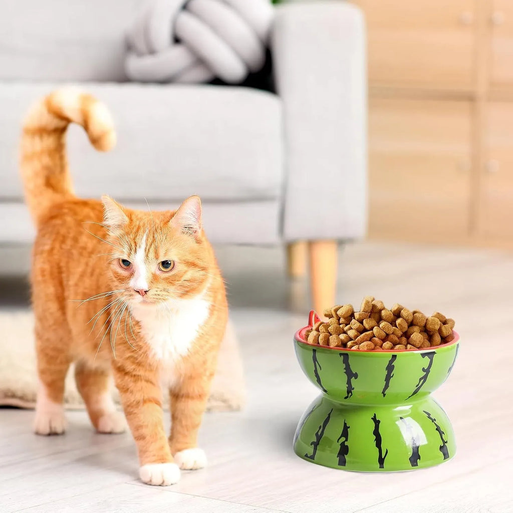 Orange ceramic raised cat bowl with tilted design and non-slip base on a table.