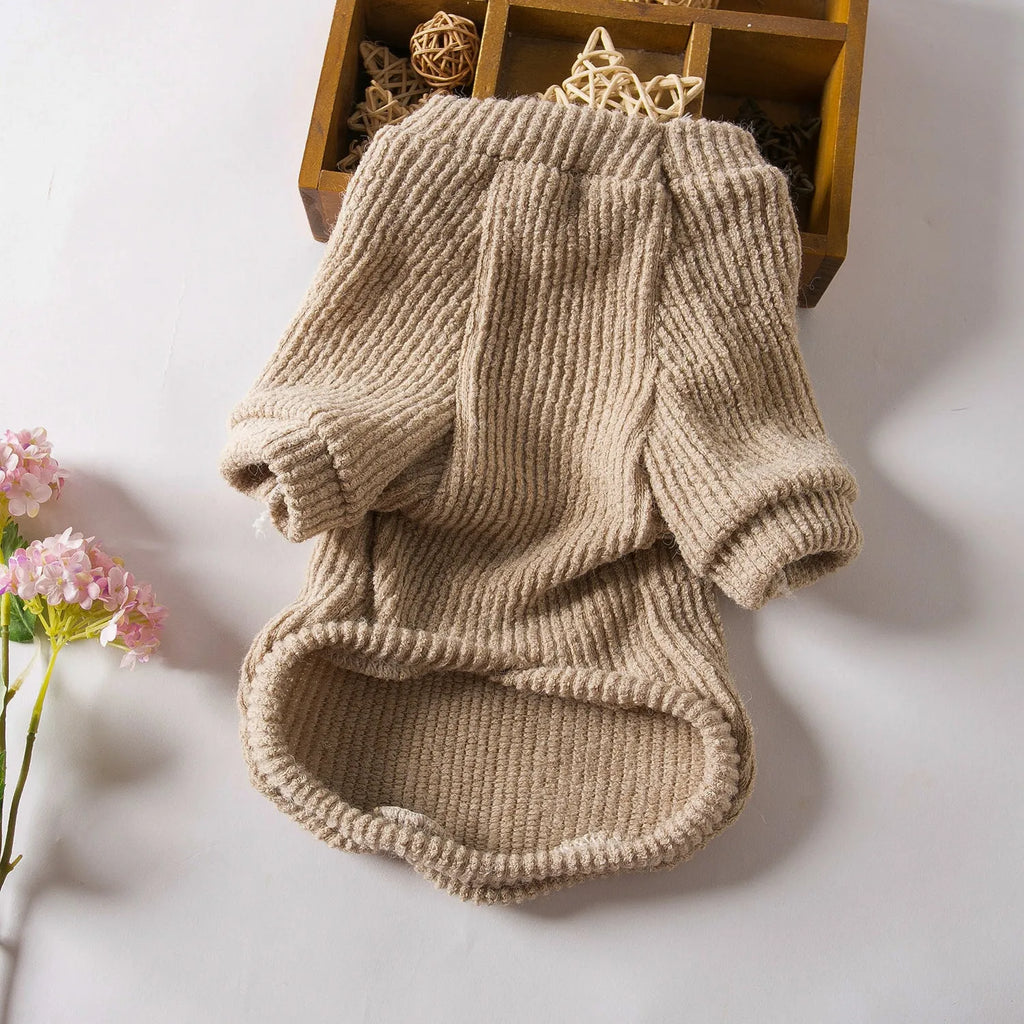 Brown knitted dog sweater on a small white dog, showing a casual pullover style.