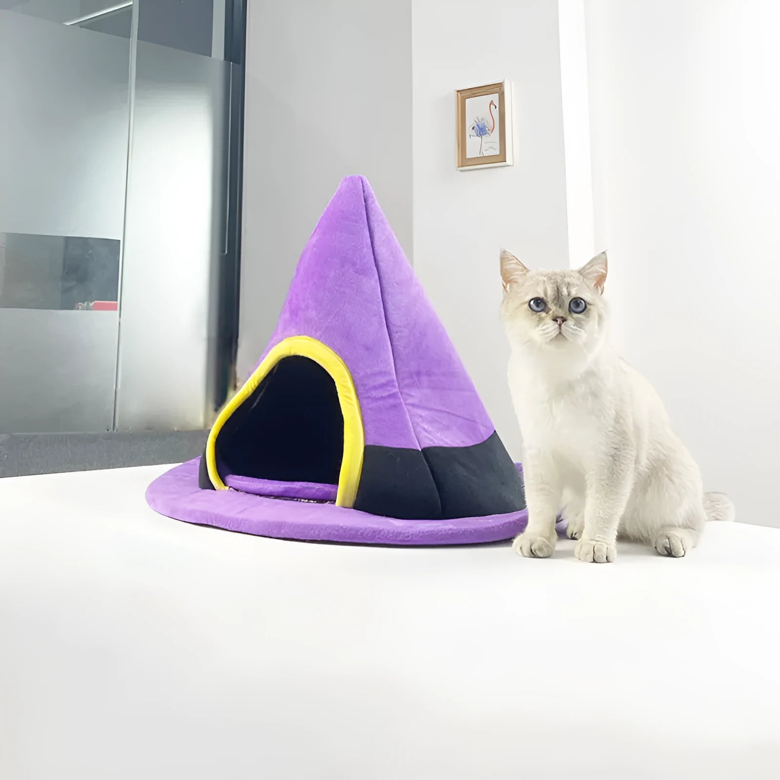 Purple Halloween witch hat-shaped cat nest pet bed measuring 60x46cm