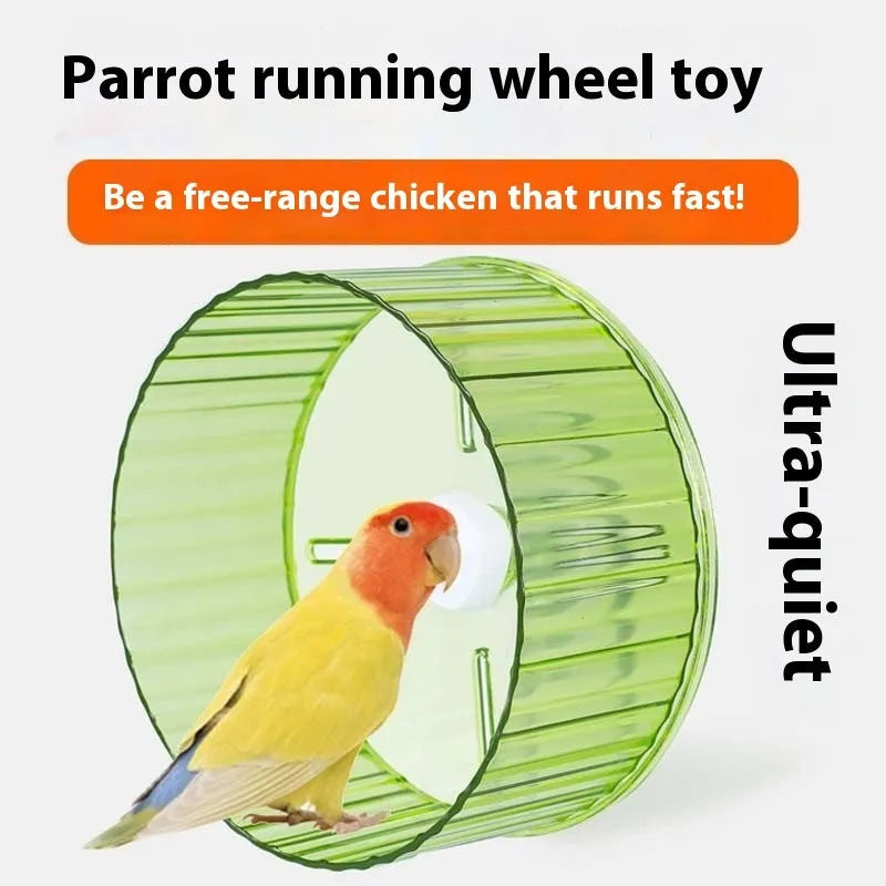 21cm plastic parrot running wheel exercise toy in transparent, green, grey, orange, or purple colours