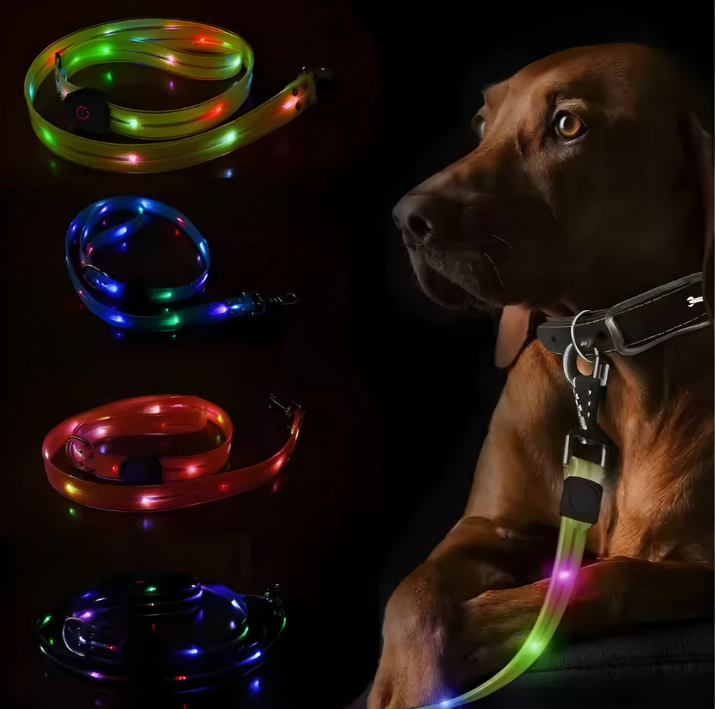Luminous PVC dog collar and leash in fluorescent green with hand strap, showing 25cm width