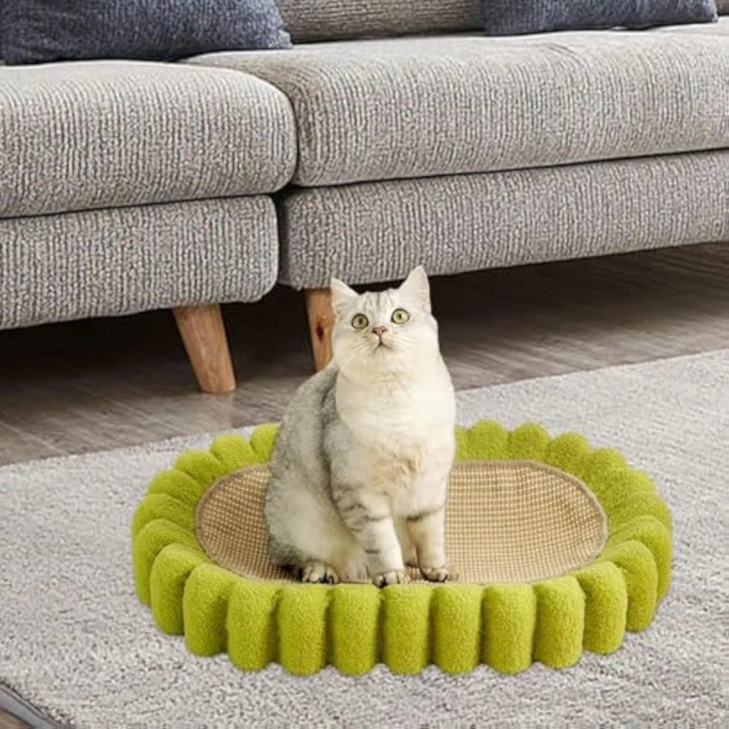 Green oval cat scratch pad bowl with sisal scratching surface serving as cat bed and furniture protector