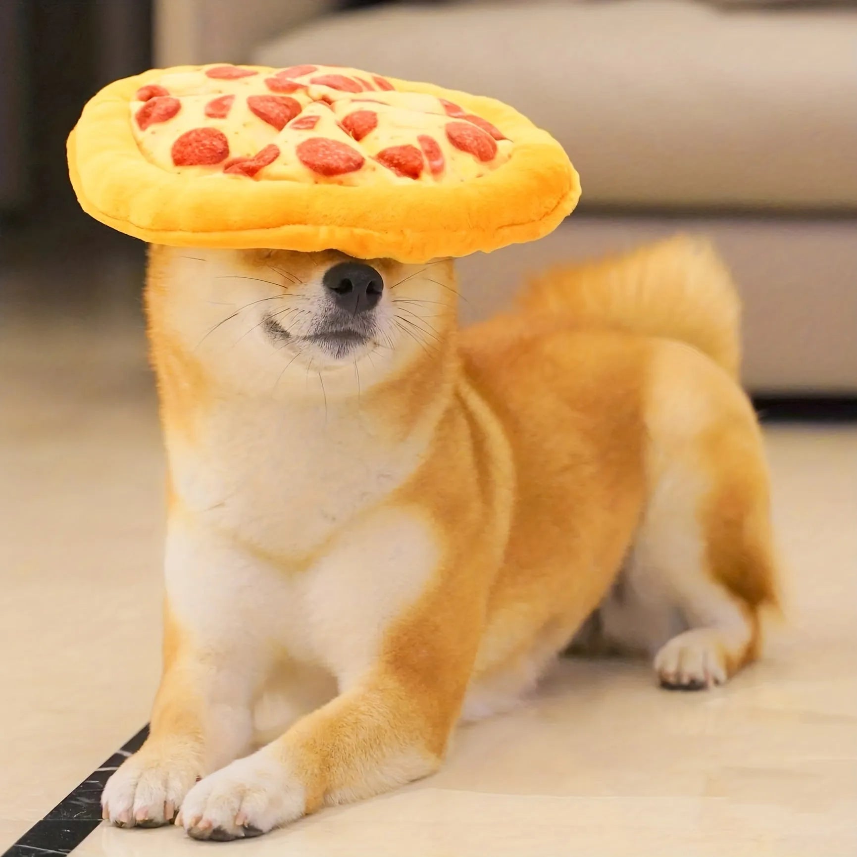 Yellow teddy toy pizza dog chewing toy with grinding teeth and squeaky features