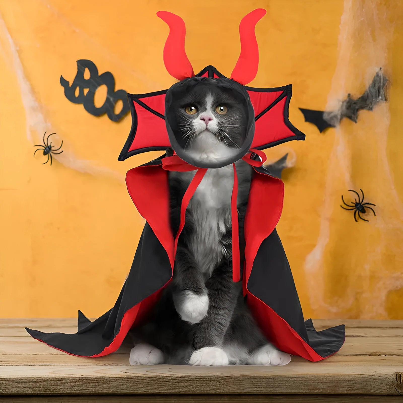 Black polyester vampire cloak and matching hat for a pet Halloween costume.