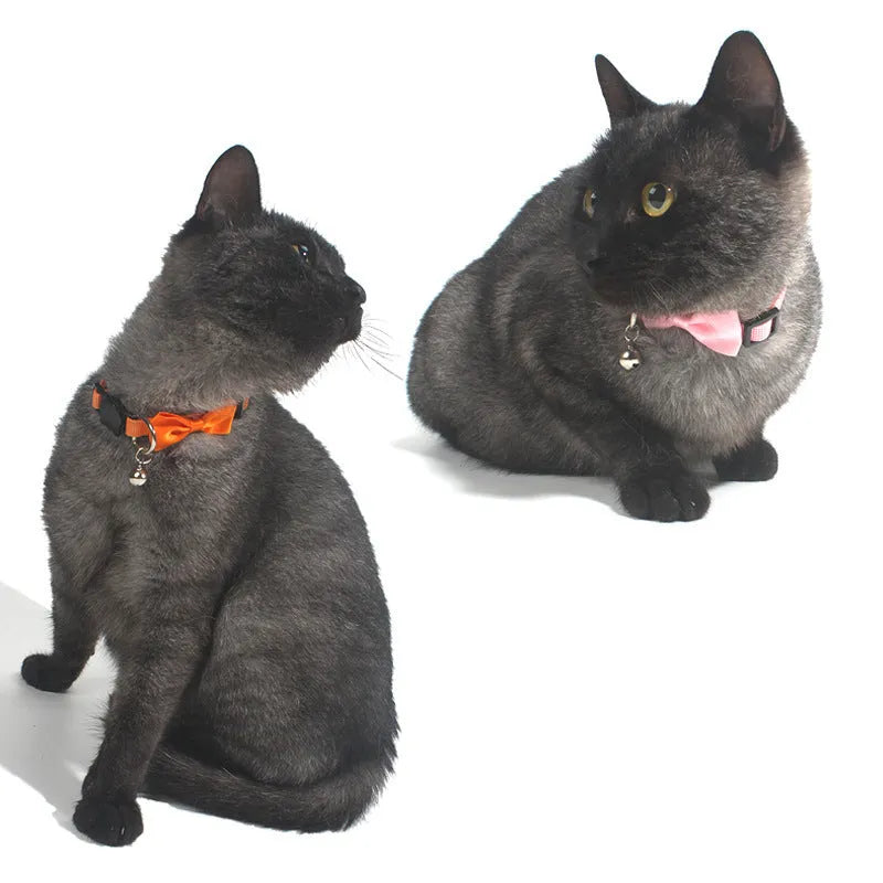Adjustable nylon cat collar with bell in striped pattern available in multiple colours like red blue and green