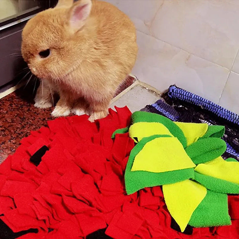 Red and green strawberry-shaped pet slow feeder snuffle mat on a floor