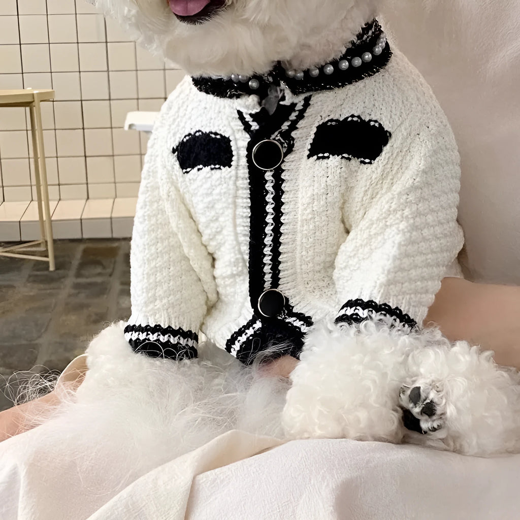 Korean style white dog sweater with pearl collar on small dog showing Princess cut design
