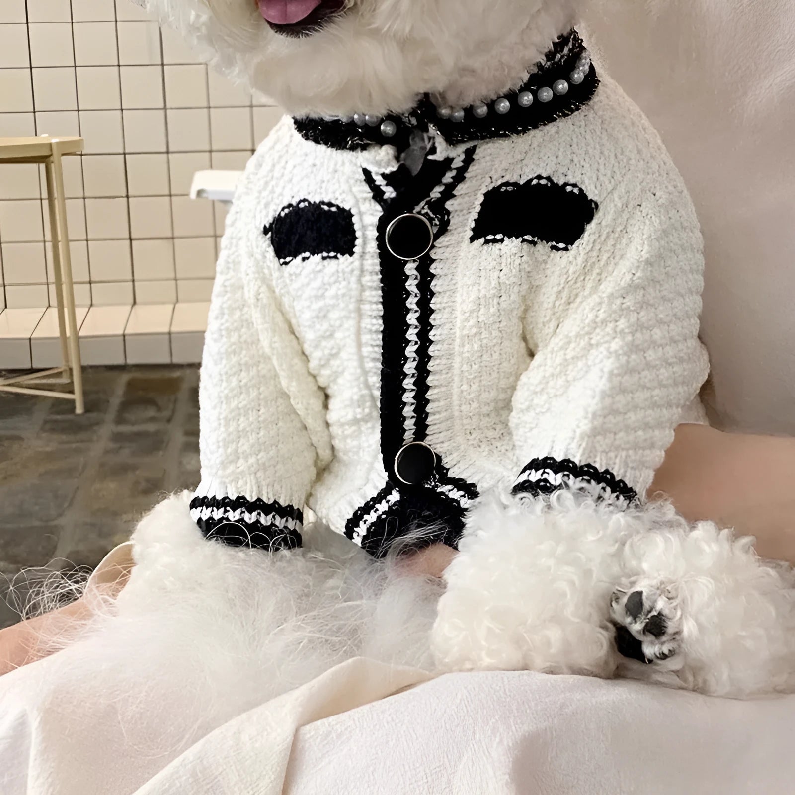 Korean style white dog sweater with pearl collar on small dog showing Princess cut design