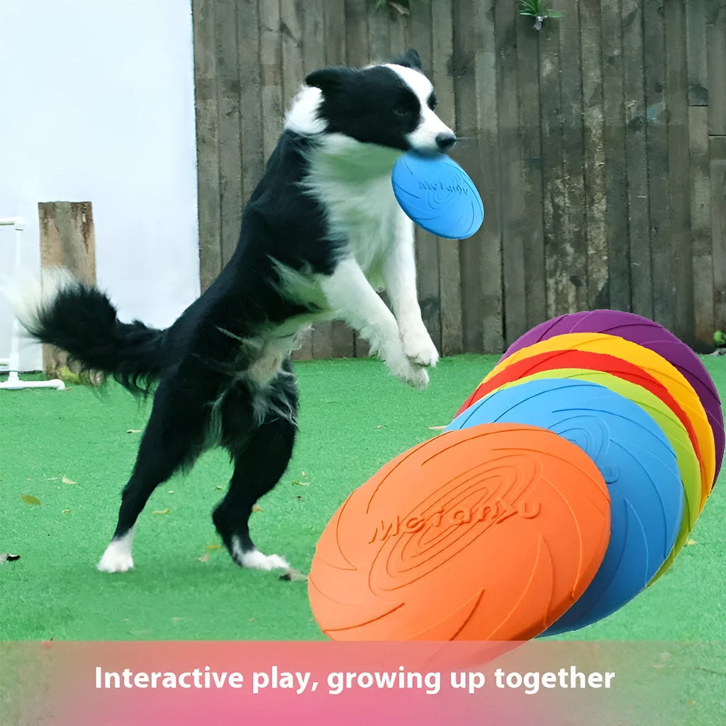 Soft rubber dog frisbee toy in red, blue, and green colours showing small, medium, and large sizes.