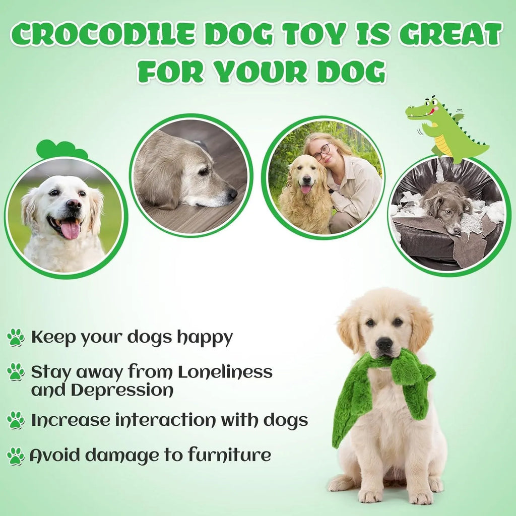 Green crocodile plush dog toy with no stuffing, for aggressive chewers with squeaker and crinkle sounds.