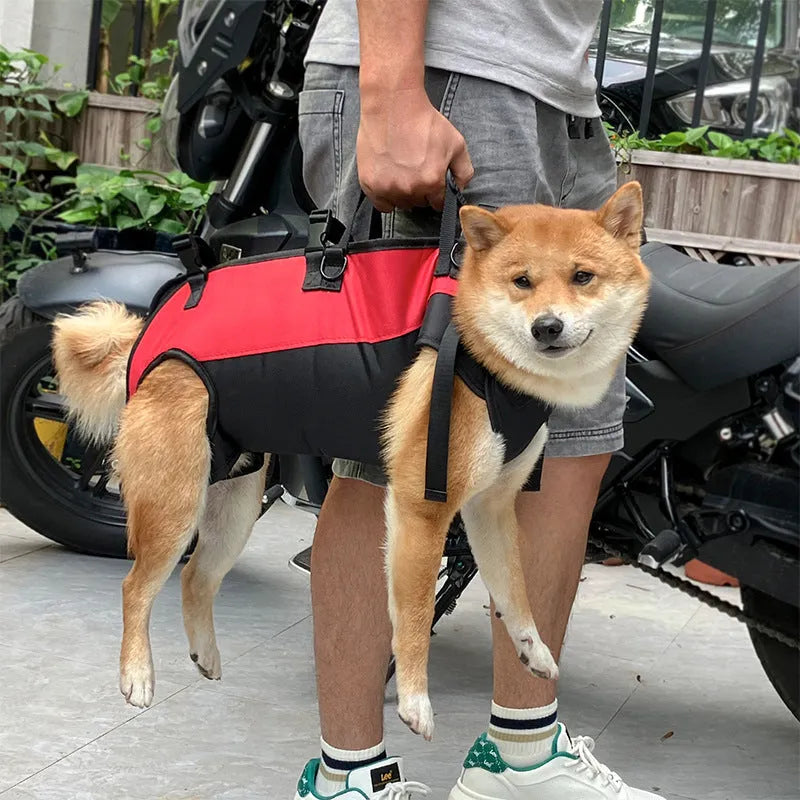 Multifunctional Oxford cloth pet backpack convertible to walking stretcher in black with khaki colour