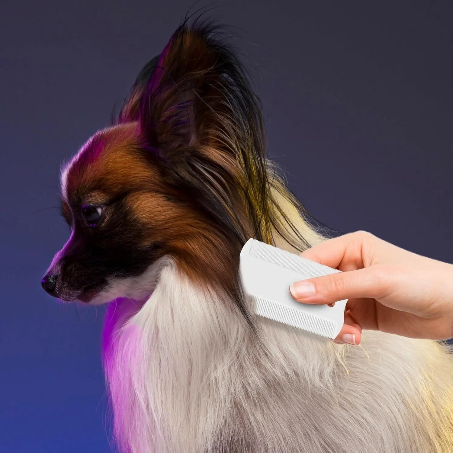 Small plastic pet flea comb with double-sided dense teeth for facial grooming and tear stain removal