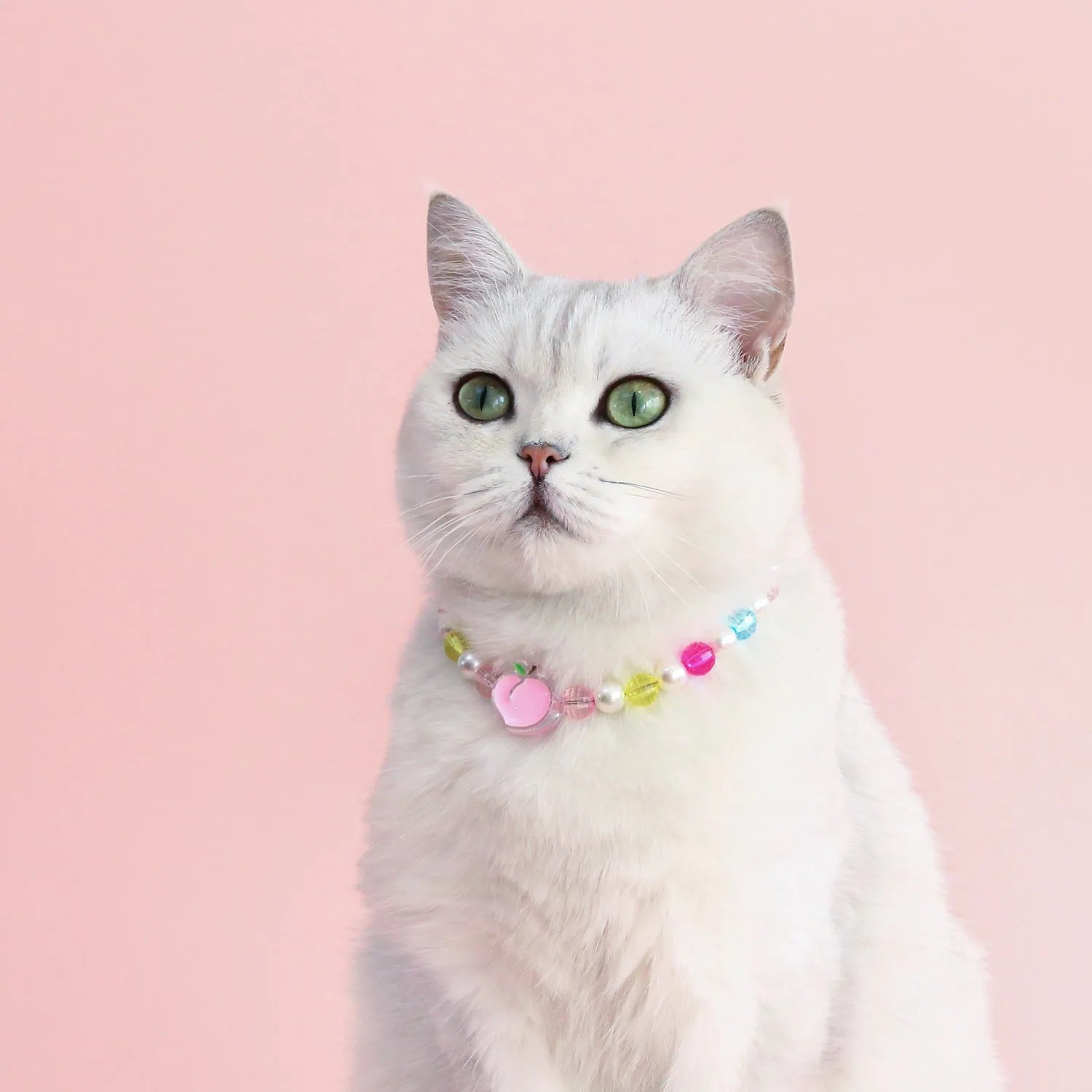 Colourful plastic bead pet necklace for a cat or dog in peach, rainbow, or small flower pattern.
