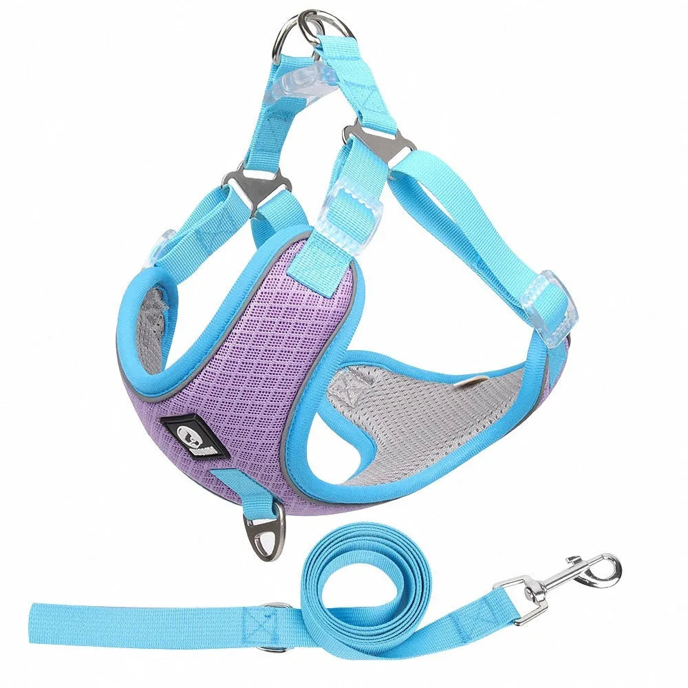 Breathable mesh dog harness with reflective piping and adjustable leash in red colour